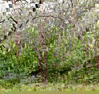 Scutts Hut Trail - Tourism Noosa