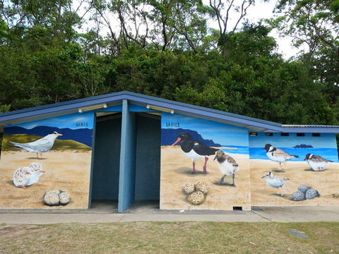 Shoalhaven Toilet Mural Tour - Tourism Noosa 1