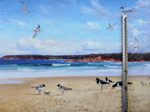 Shoalhaven Toilet Mural Tour - Tourism Noosa 2