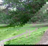 St Albans Reserve - Tourism Noosa