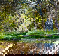 Strathnairn Arts - Tourism Noosa