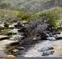 Thredbo River Track - Tourism Noosa