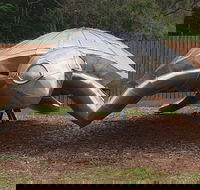 Underwater Marine Sculptures - Tourism Noosa