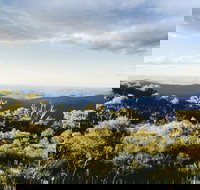 Vista Point Picnic Area - Tourism Noosa