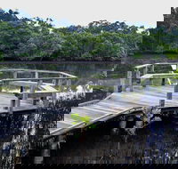 Walk on Water walking track - Tourism Noosa