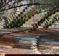 Warrego Floodplain walking track - Tourism Noosa