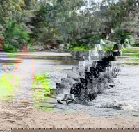 Warrandyte River Reserve