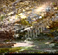 Wendy Whiteley's Secret Garden - Tourism Noosa