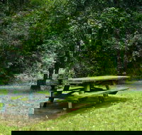 Williams River picnic area - Tourism Noosa