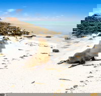 Abrolhos Islands - Tourism Noosa