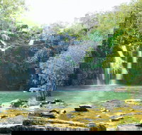 Airlie Beach to Cedar Creek Falls - Tourism Noosa