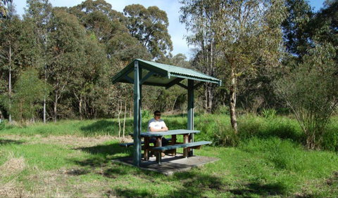 Alexanders Picnic Area - Tourism Noosa 0