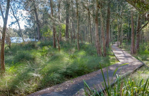 Anabranch Loop Track - Tourism Noosa 0