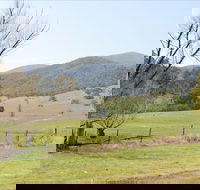 Banimboola Creek Rest Area - Tourism Noosa