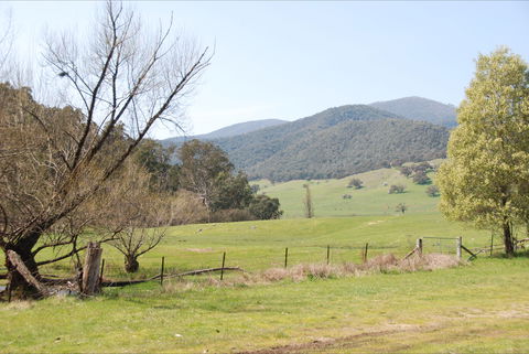 Banimboola Creek Rest Area - Tourism Noosa 0