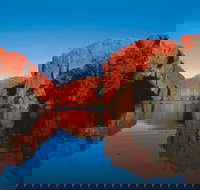 Boodjamulla Lawn Hill National Park - Tourism Noosa