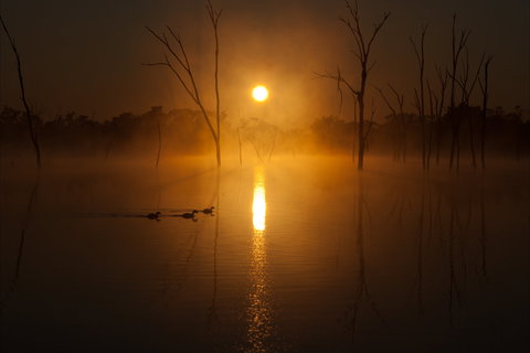 Boshack Outback - Tourism Noosa 1