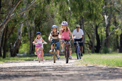 Braeside Park - Tourism Noosa 1