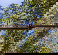 Bribie Island Bicentennial Trails - Tourism Noosa