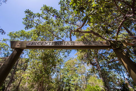 Bribie Island Bicentennial Trails - Tourism Noosa 0