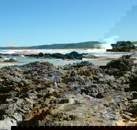 Coastal Walks - Bermagui - Tourism Noosa