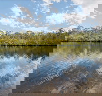 Cockatoo picnic area - Tourism Noosa