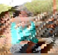 Creswick Woollen Mills - Tourism Noosa