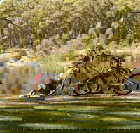 Creswick Regional Park - Tourism Noosa