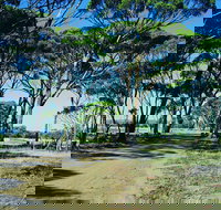 Dumbleyung - Tourism Noosa