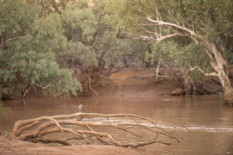 Eulo Town Hole - Tourism Noosa 2