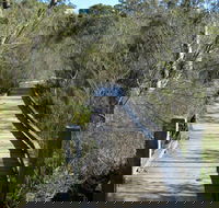 Falcon Crescent Link Track - Tourism Noosa