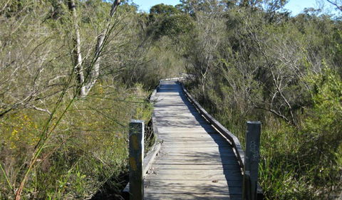 Falcon Crescent Link Track - Tourism Noosa 0
