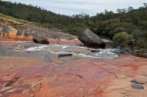 FR Berry Reserve - Tourism Noosa 0