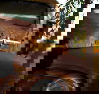 Gladstone into the Hinterland - Tourism Noosa