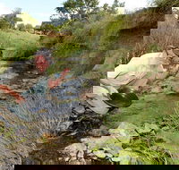 Gold Panning Deep Creek - Tourism Noosa