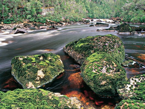 Gordon River - The - Tourism Noosa 2