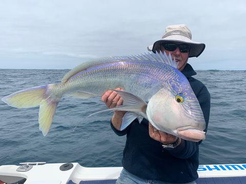 GT Fishing Charters - Tourism Noosa 1