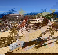 Gundersen Reserve - Tourism Noosa