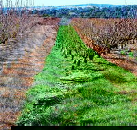 Hall Family Orchards - Tourism Noosa