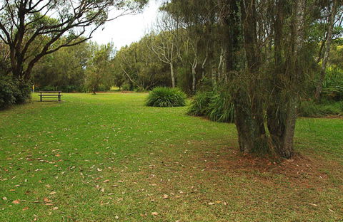 Hammerhead Point Picnic Area - Tourism Noosa 0