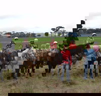 High Country Trail Rides - Tourism Noosa