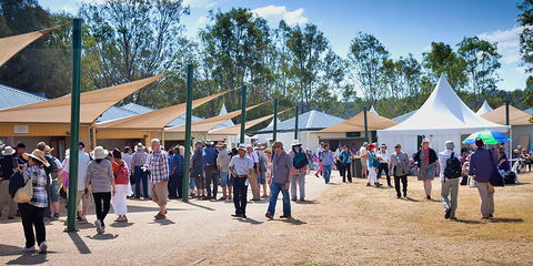 Ivory's Rock Conventions And Events - Tourism Noosa 2