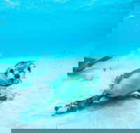Jurien Bay - Tourism Noosa