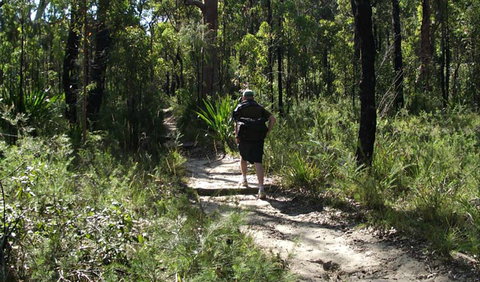 Karloo Walking Track - Tourism Noosa 0