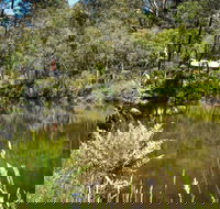 Kurth Kiln Regional Park - Tourism Noosa
