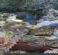 Liffey Falls Reserve - Tourism Noosa