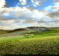 Lions Park Hodgson Vale - Tourism Noosa