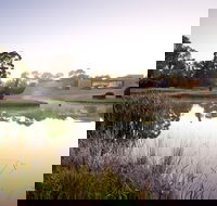McClelland Sculpture Park  Gallery - Tourism Noosa
