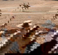 Monarto Safari Park - Tourism Noosa