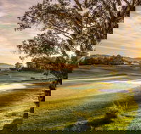 Mount Compass Golf Course - Tourism Noosa